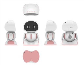 智能小型機(jī)器人銷售與服務(wù)咨詢，錢元供應(yīng)，計算機(jī)網(wǎng)絡(luò)工程施工與設(shè)計